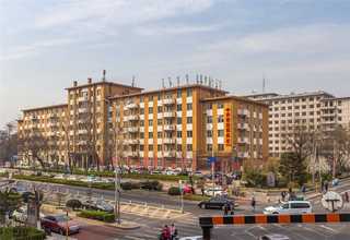 应城复古香精品版杜康酒价格走势